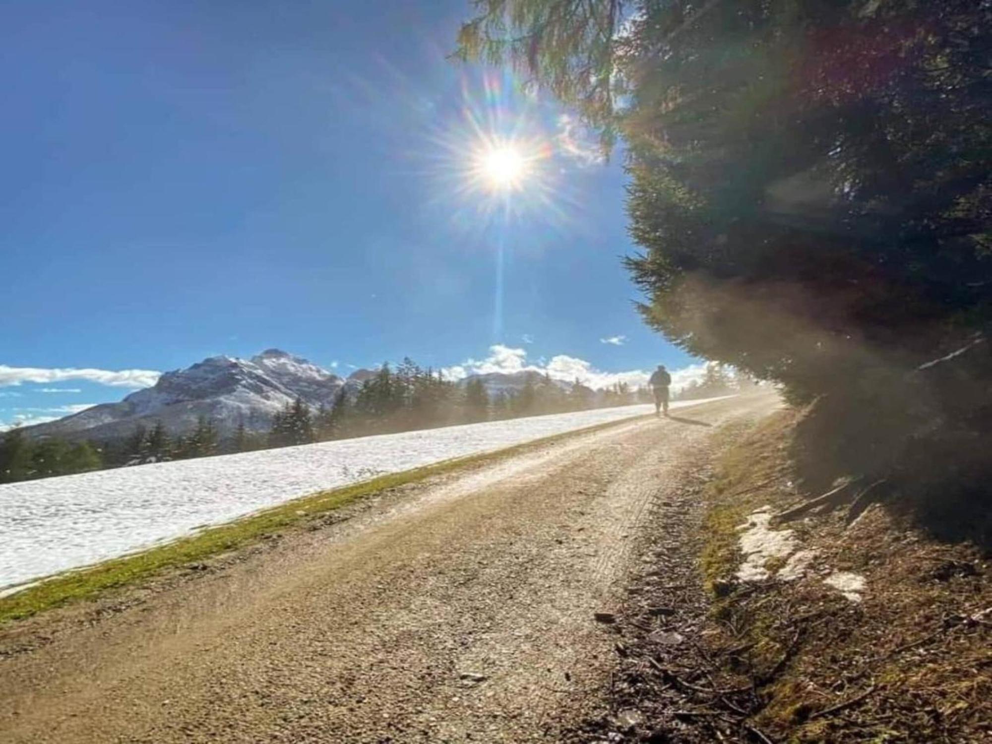 In Neustift im Stubaital